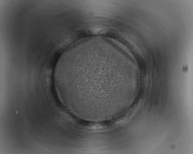 X0000102460319200808221625