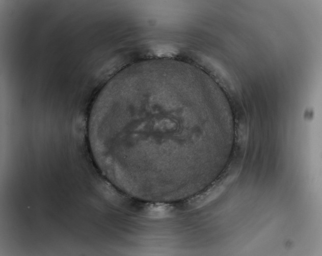 X0000102460321200808221625