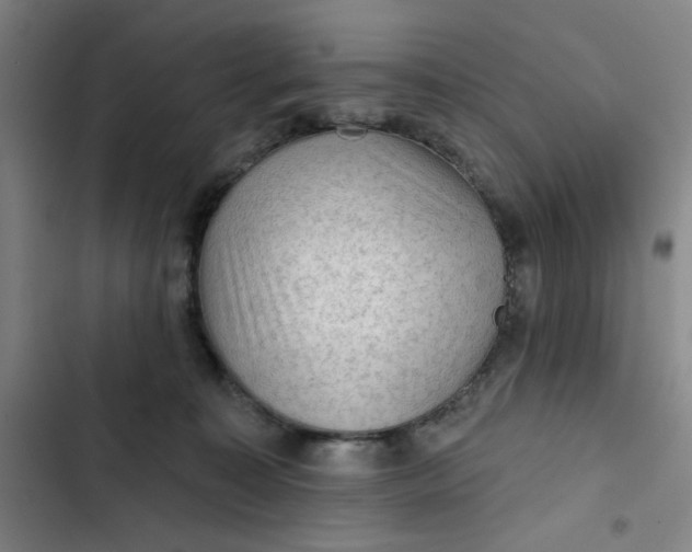 X0000102460323200808221625