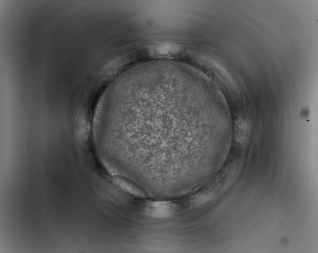 X0000102460324200808221625