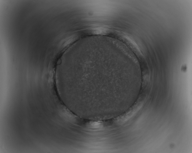 X0000102460325200808221625