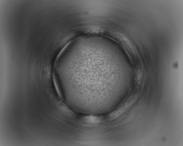 X0000102460326200808221625