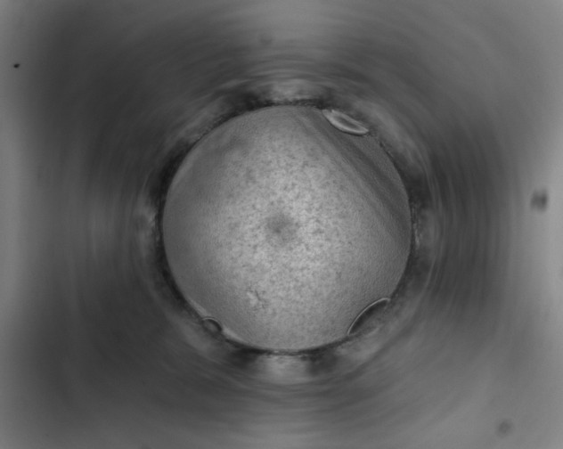 X0000102460327200808221625