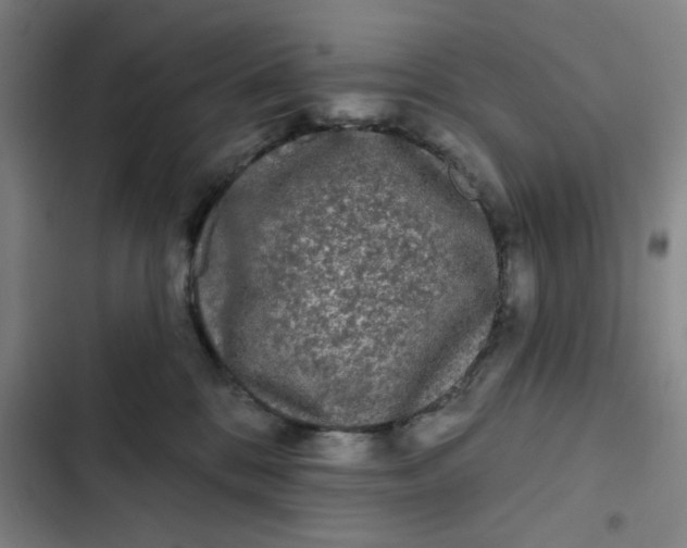 X0000102460328200808221625