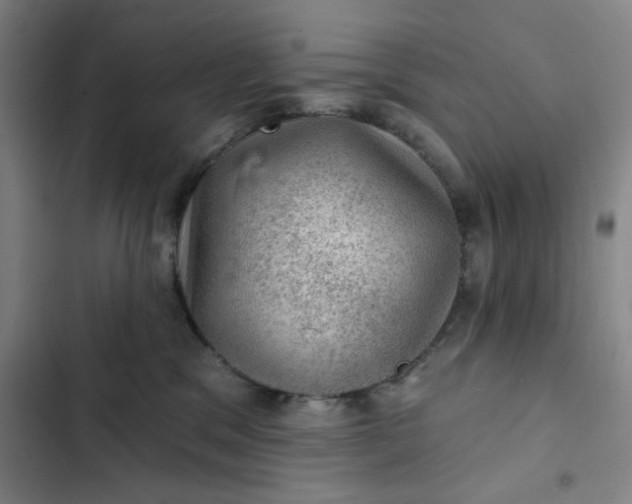 X0000102460329200808221625