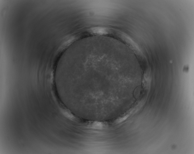 X0000102460330200808221625