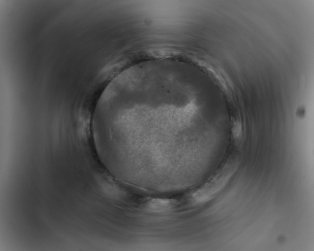 X0000102460332200808221625