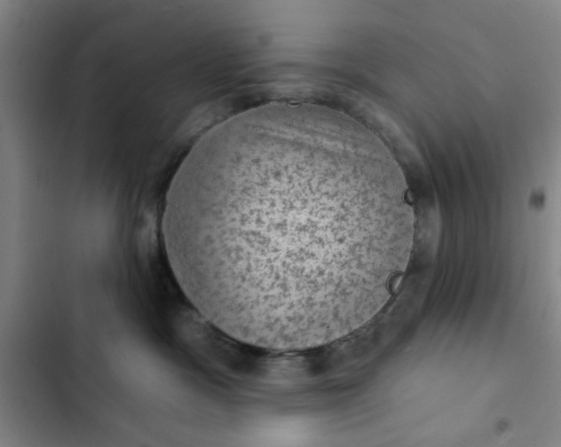 X0000102460333200808221625