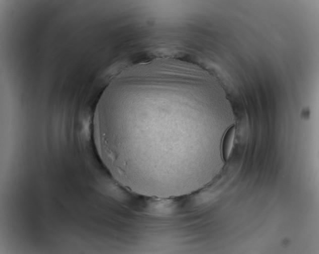 X0000102460334200808221625