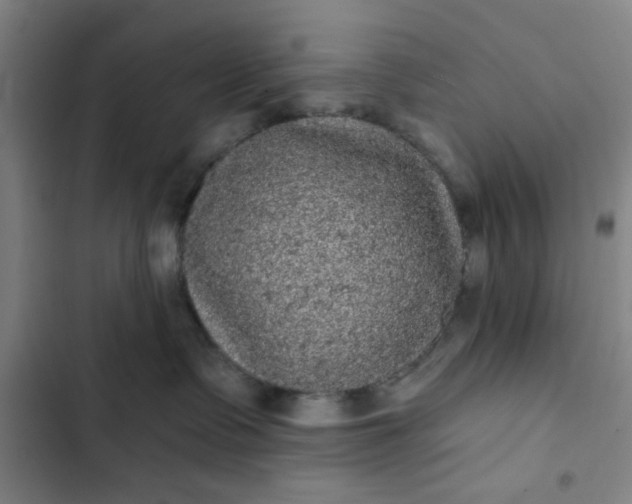 X0000102460335200808221625