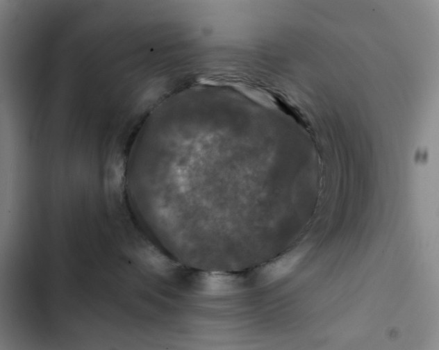 X0000102460336200808221625