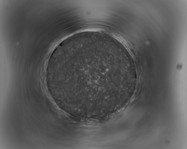 X0000102460337200808221624