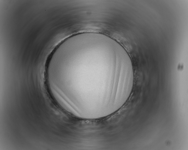 X0000102460338200808221624