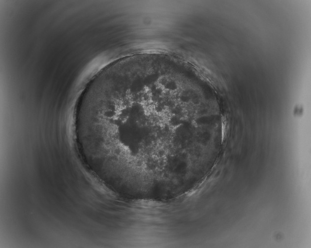 X0000102460339200808221624