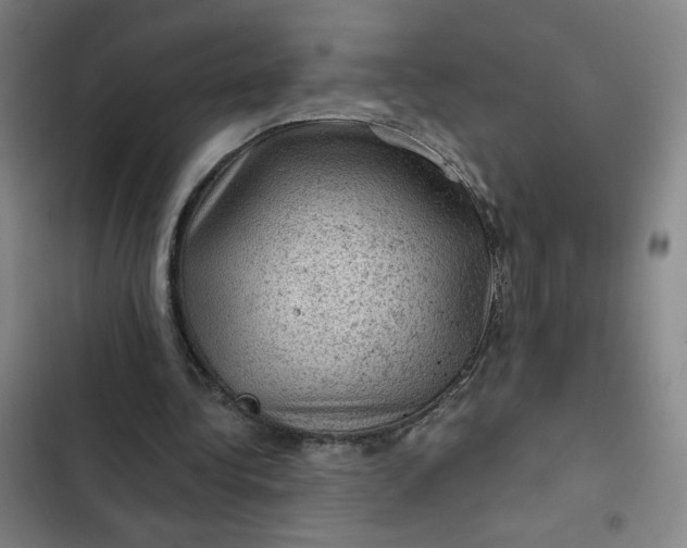 X0000102460340200808221624