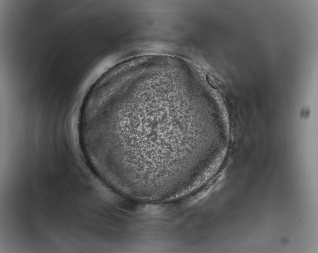 X0000102460341200808221624