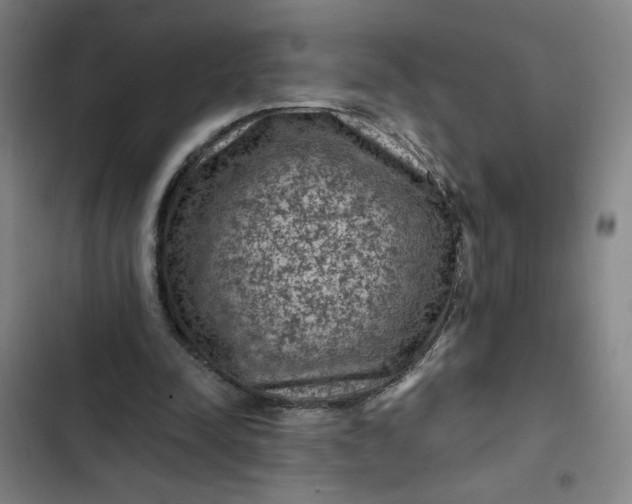 X0000102460342200808221624