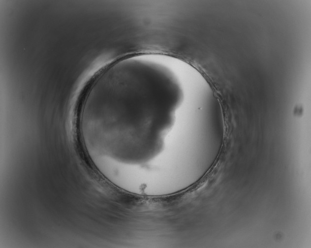 X0000102460343200808221624