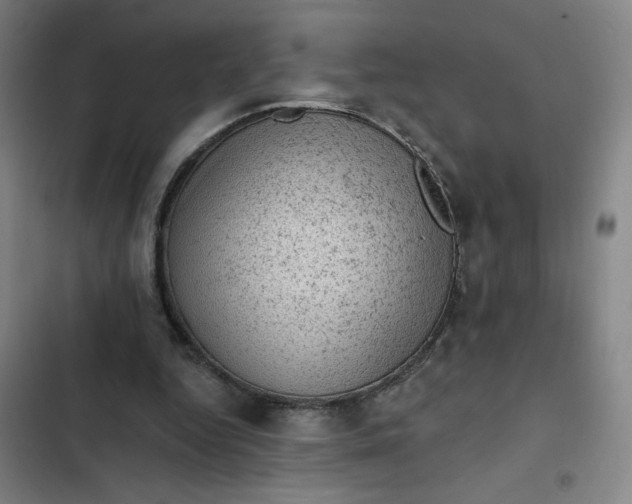 X0000102460344200808221624