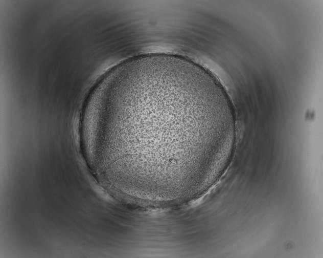 X0000102460345200808221624