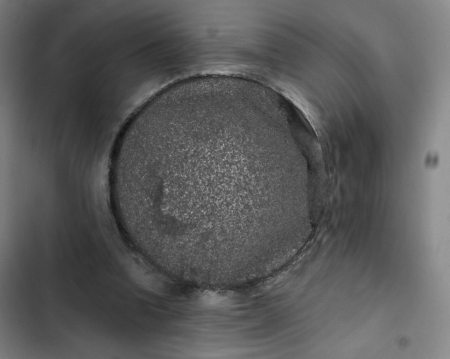 X0000102460346200808221624