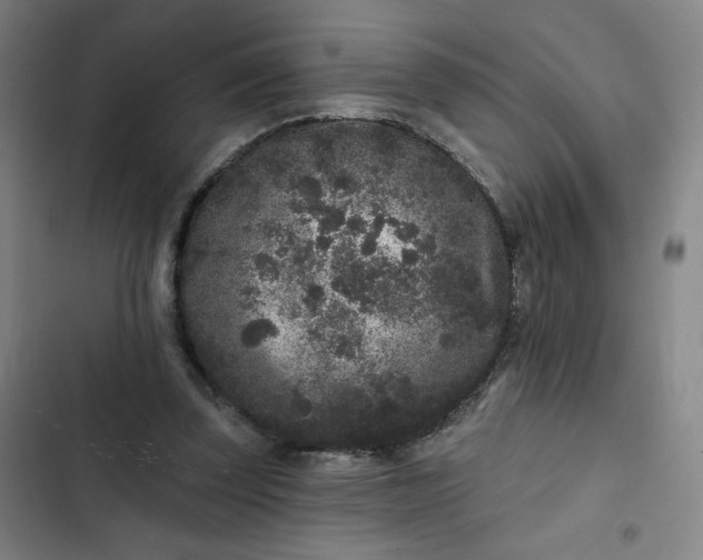 X0000102460347200808221624