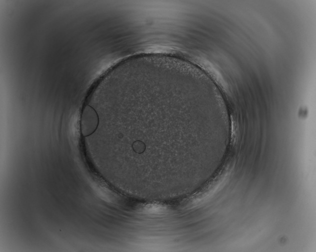 X0000102460348200808221624