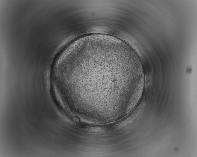 X0000102460349200808221624