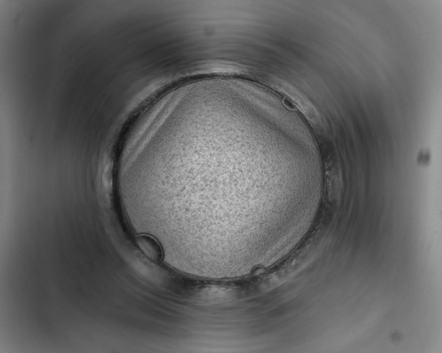 X0000102460350200808221624