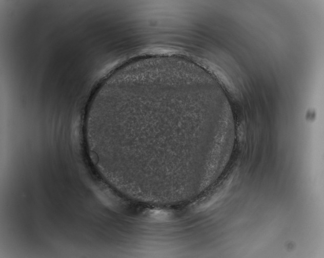 X0000102460352200808221624