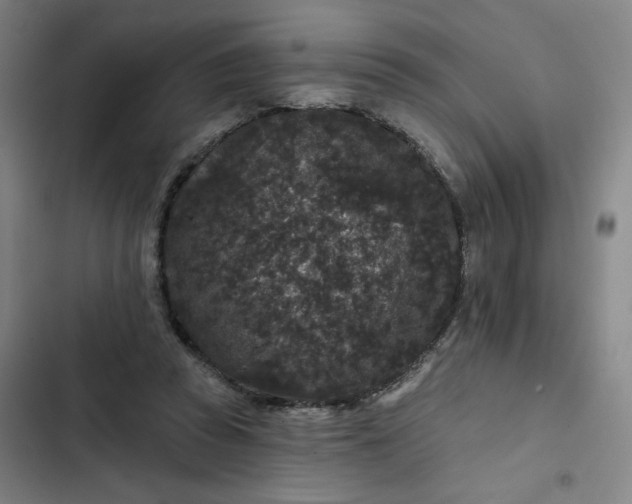 X0000102460353200808221624