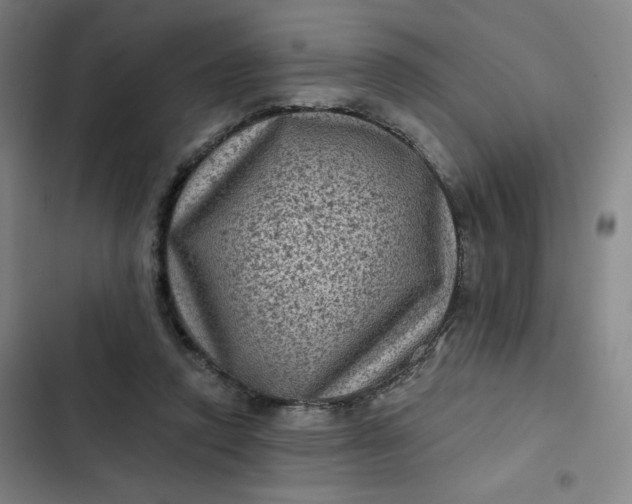 X0000102460354200808221624