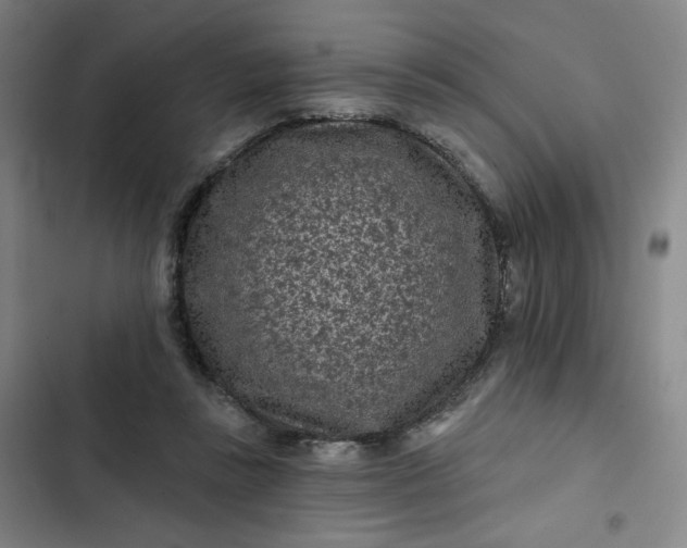 X0000102460355200808221624