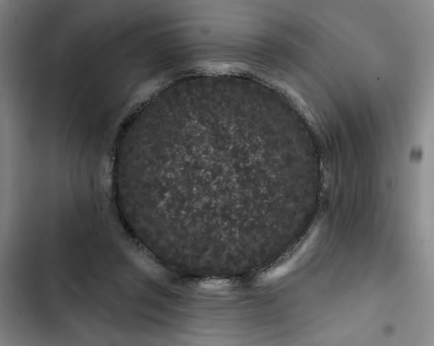 X0000102460357200808221624