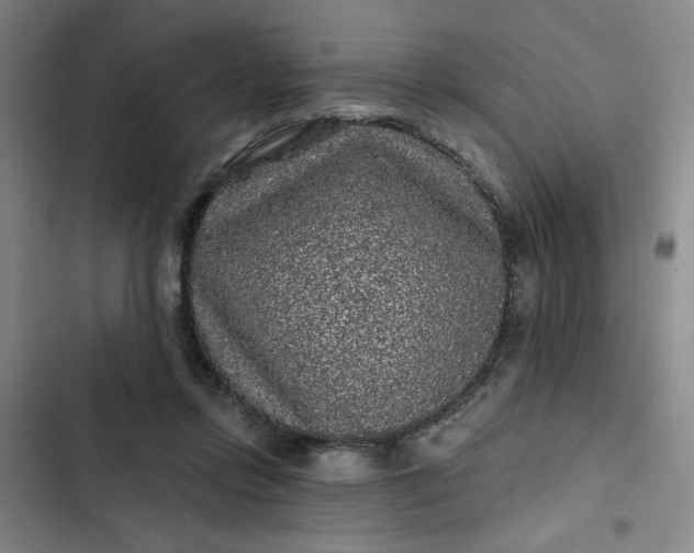 X0000102460358200808221625