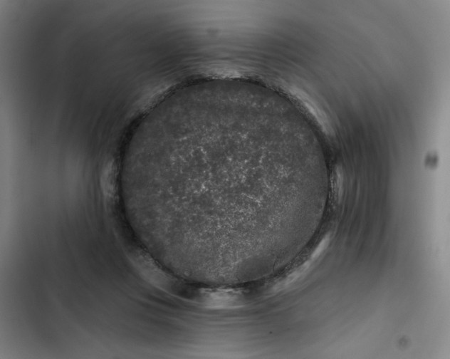 X0000102460359200808221625