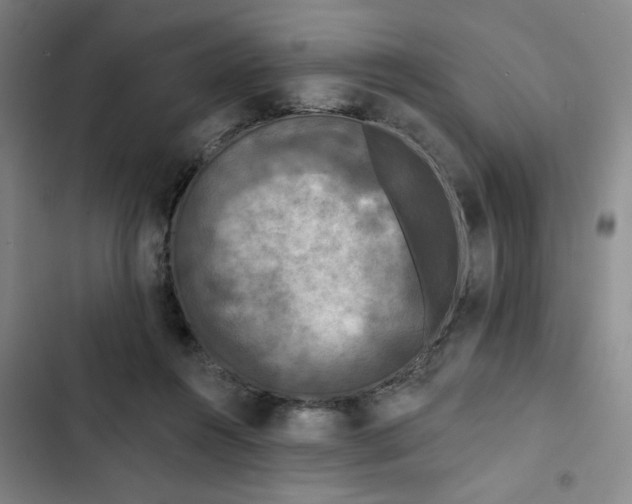 X0000102460360200808221625