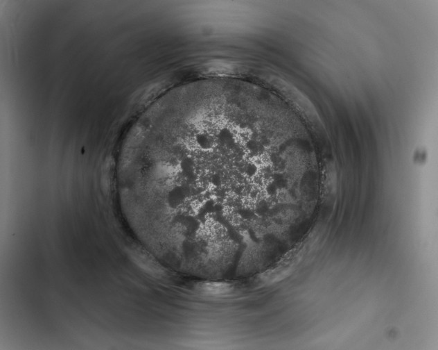 X0000102460361200808221625