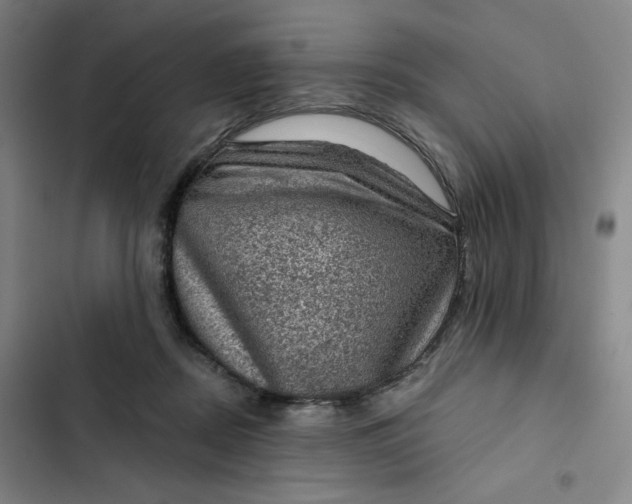 X0000102460362200808221625