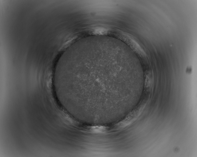 X0000102460363200808221625