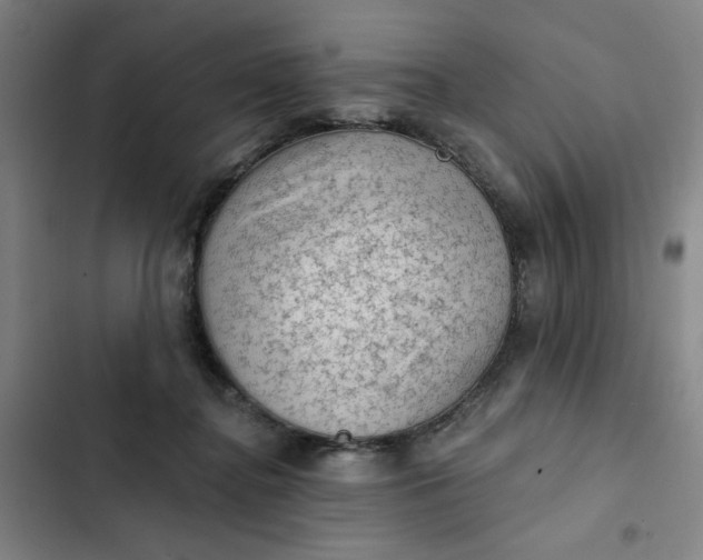 X0000102460364200808221625