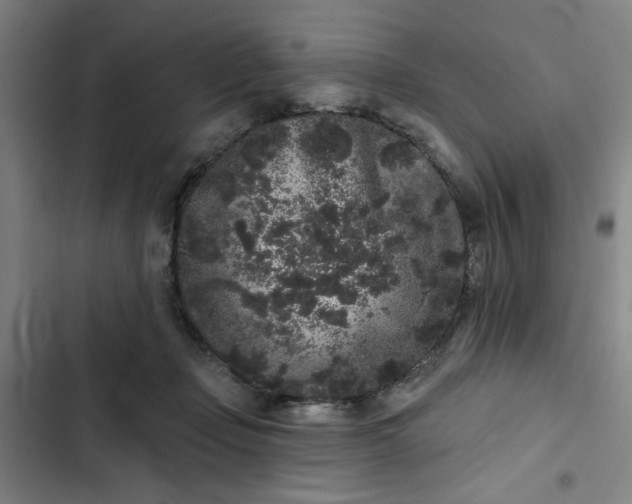 X0000102460365200808221625