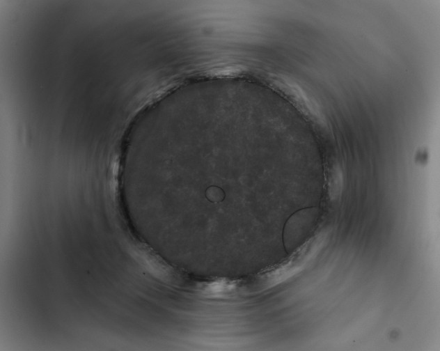 X0000102460366200808221625