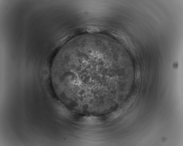 X0000102460367200808221625