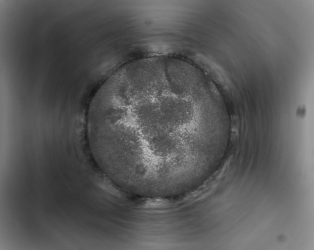 X0000102460369200808221625