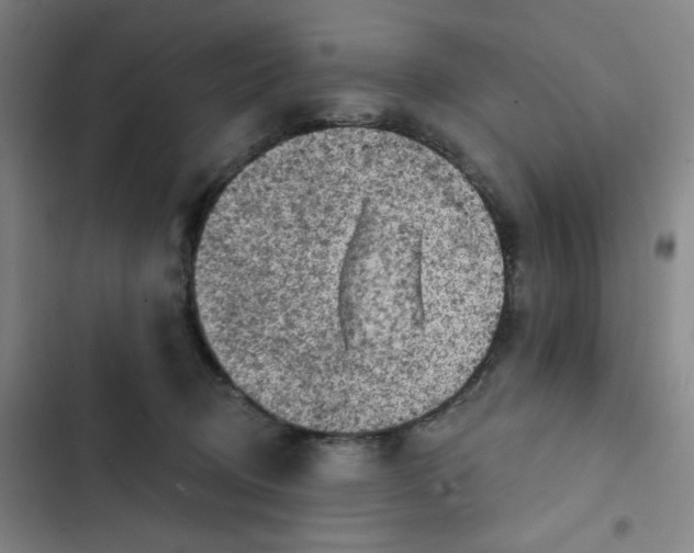 X0000102460370200808221625