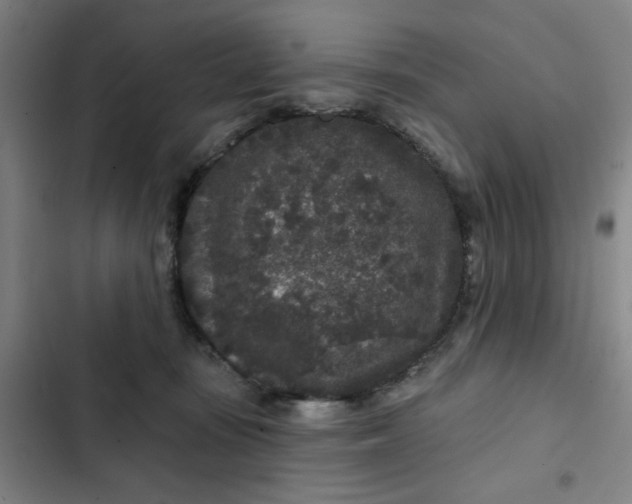 X0000102460371200808221625