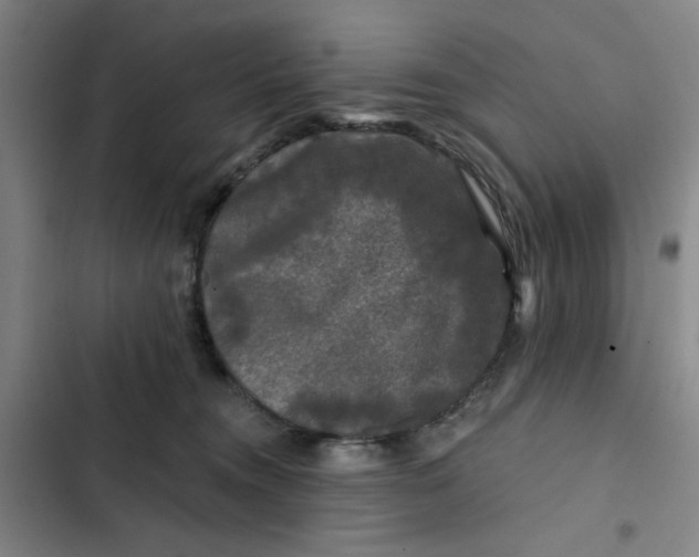 X0000102460372200808221625