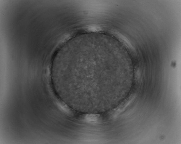 X0000102460373200808221625