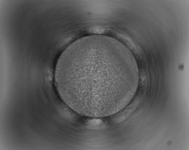 X0000102460374200808221625